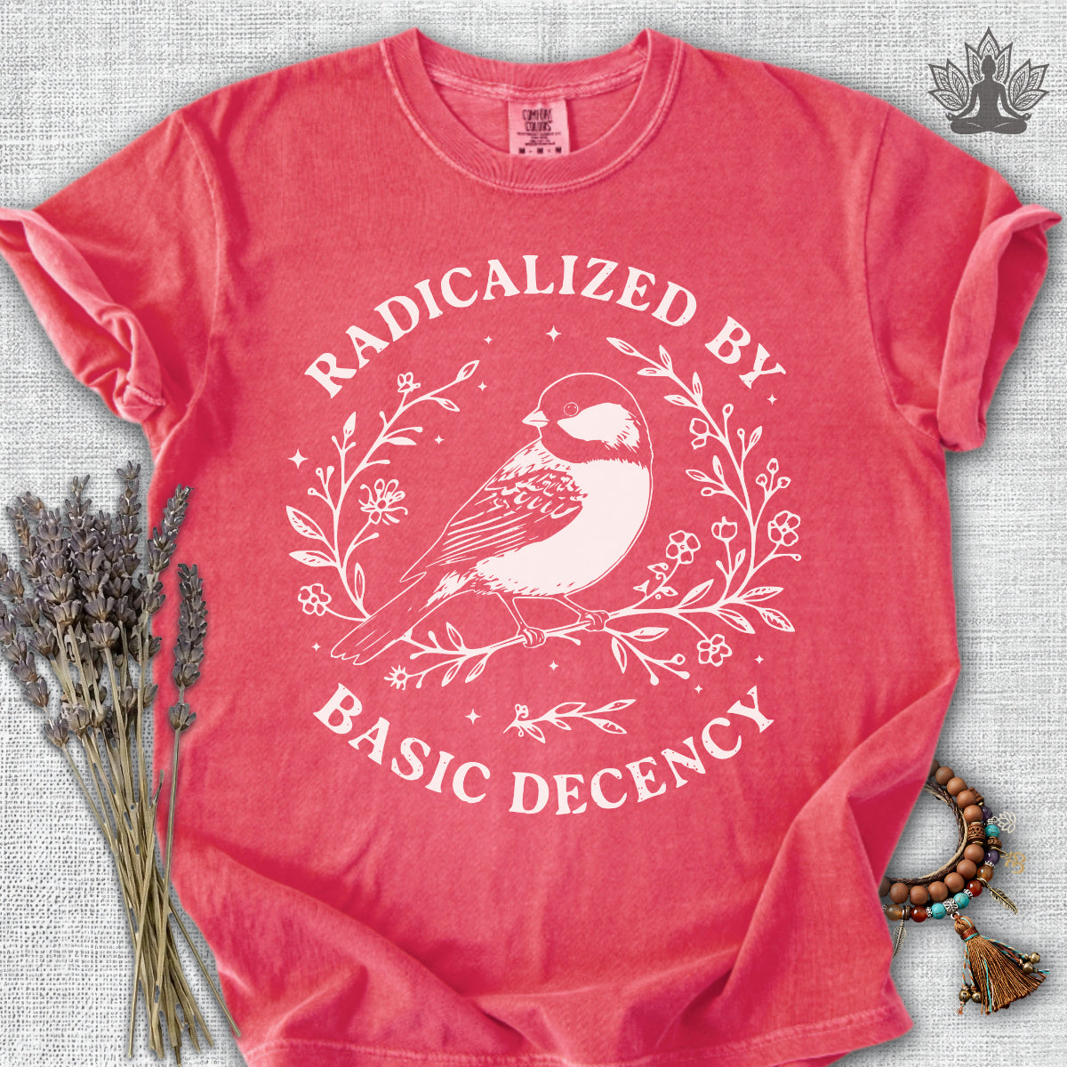 Radicalized By Basic Decency T-Shirt.