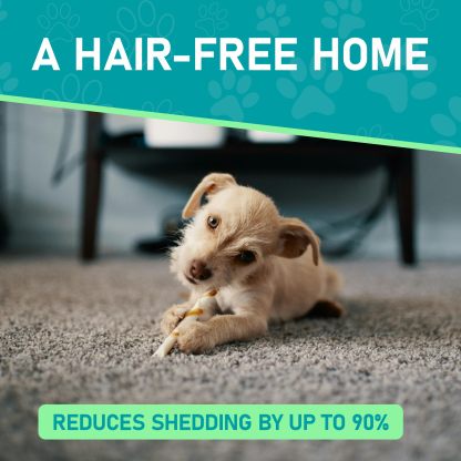 Professional Double-Sided Pet Grooming Rake ✨ Undercoat Deshedding Tool for Dogs & Cats 🐶🐱