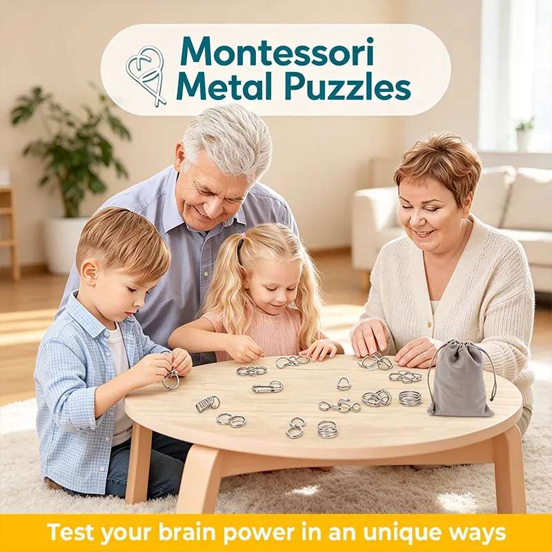 Metal puzzle collection