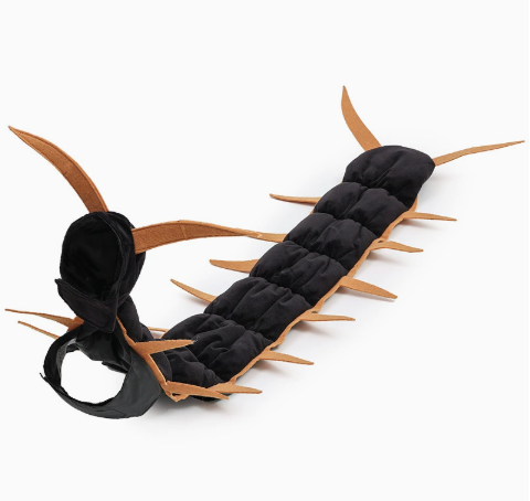 Halloween Cat And Centipede Costume