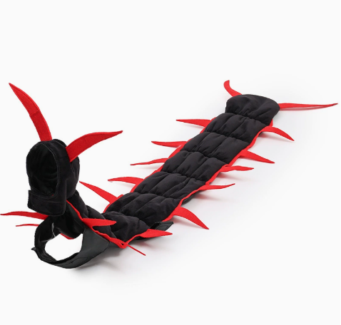Halloween Cat And Centipede Costume