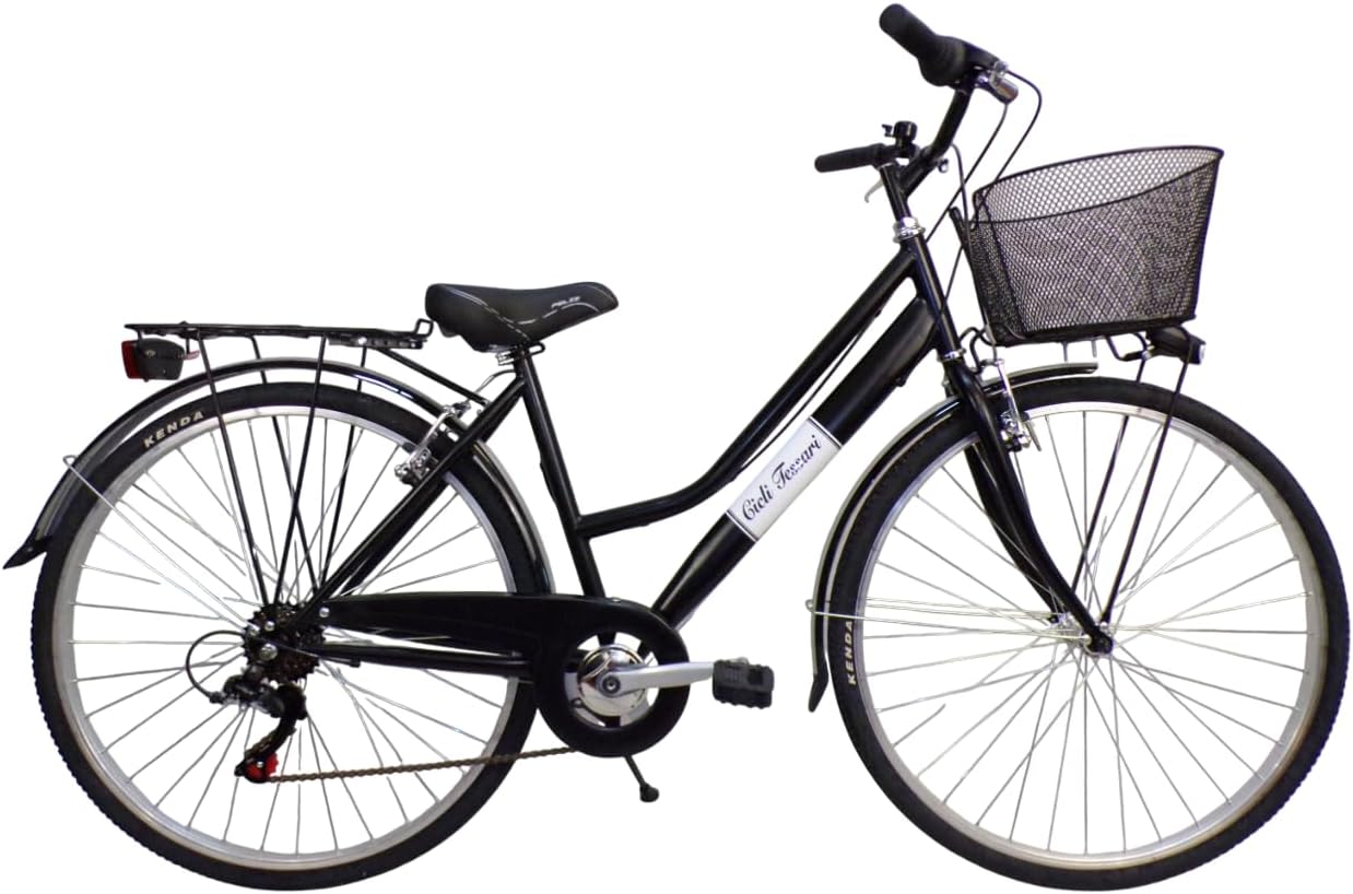 Cicli Tessari City Bike Donna 28 Pollici 6 Velocità Trekking Telaio in Acciaio Nero con Cestino Anteriore-Pinegoshop