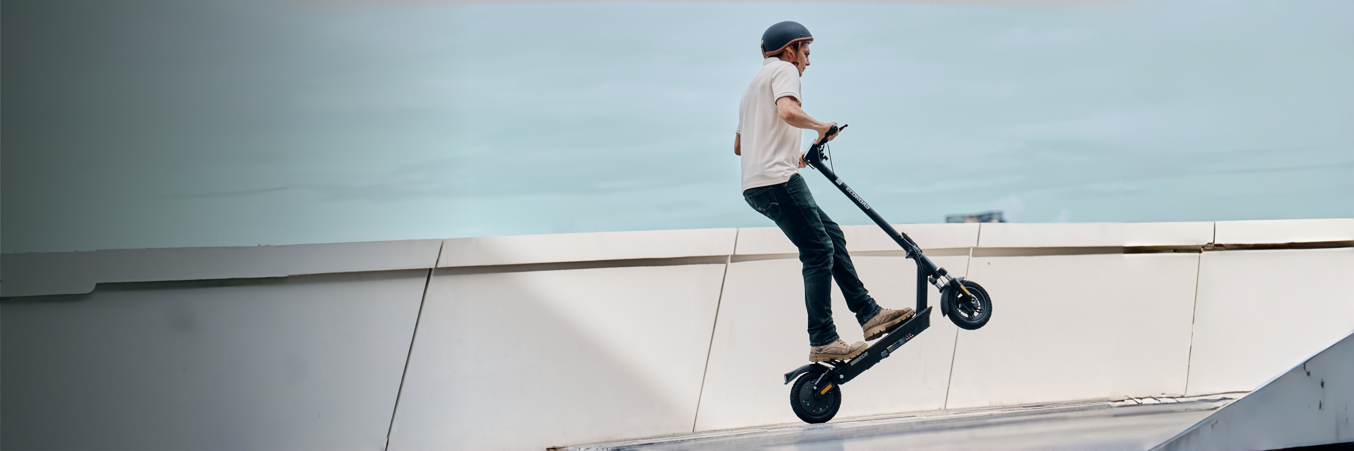 All Electric Scooter