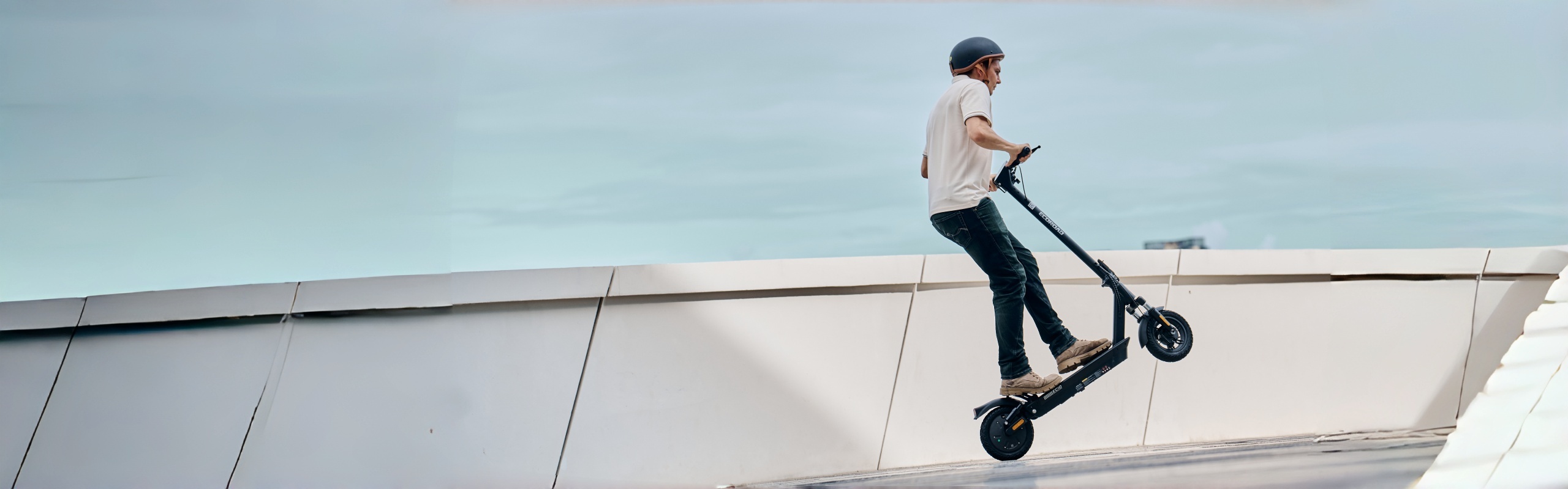 All Electric Scooter