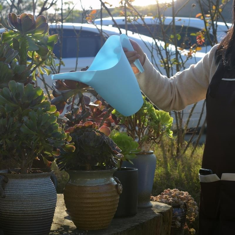 Haushaltsgießkanne mit langem Ausguss