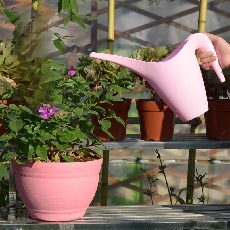 Haushaltsgießkanne mit langem Ausguss