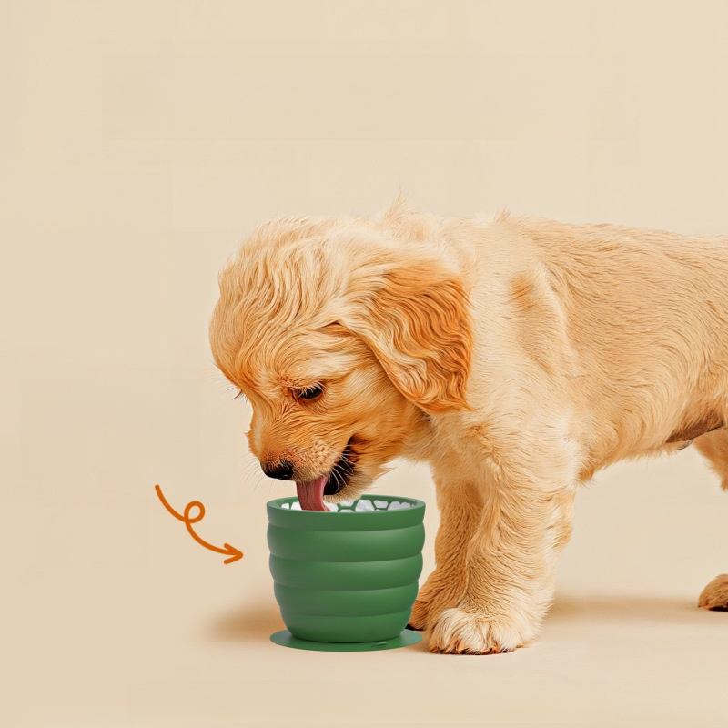 distributeur de nourriture pour animaux