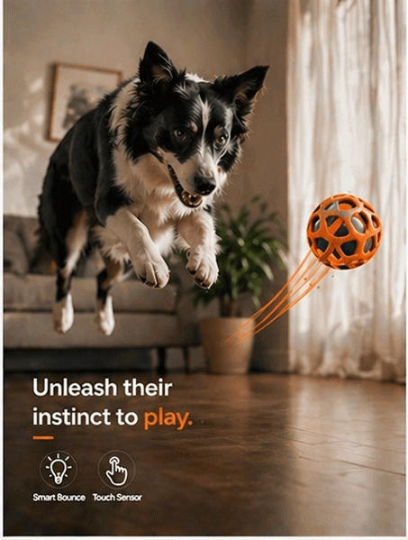 Interactive Dog Rubber Ball
