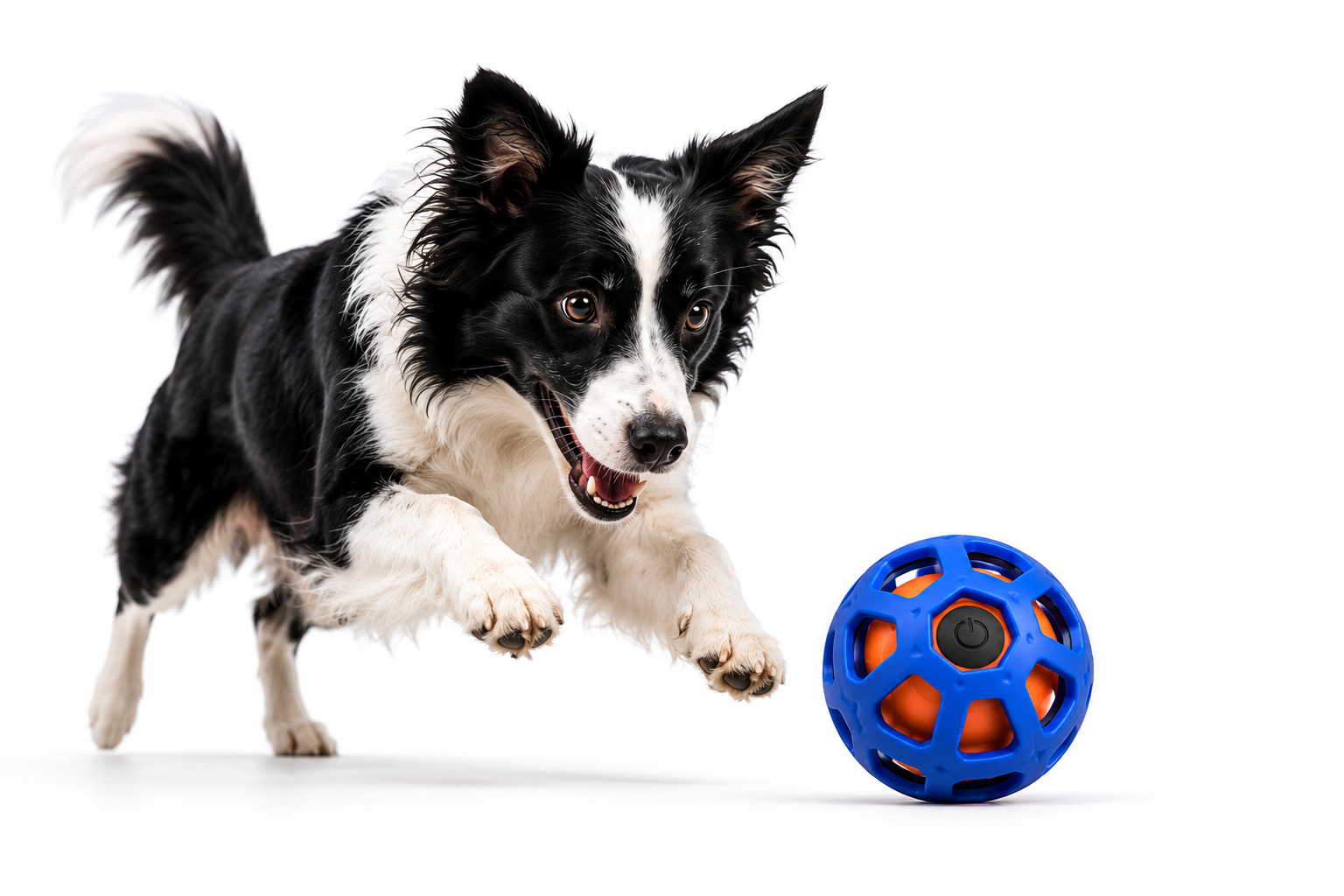 Beanypaws™ KineticRover