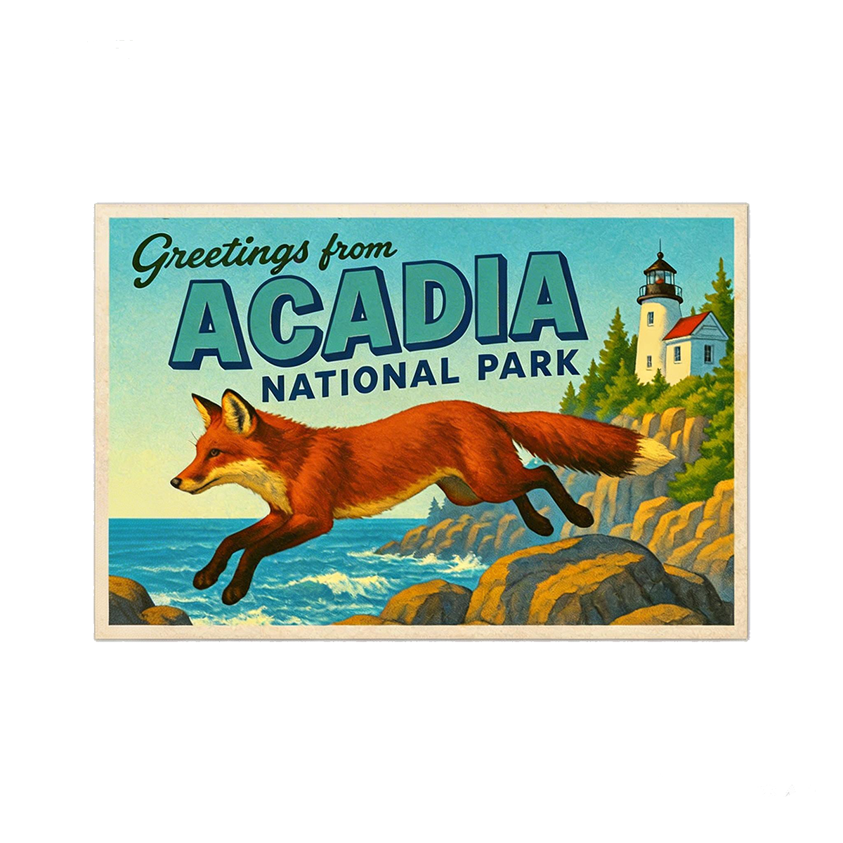 Acadia National Park Postcard Fridge Magnet