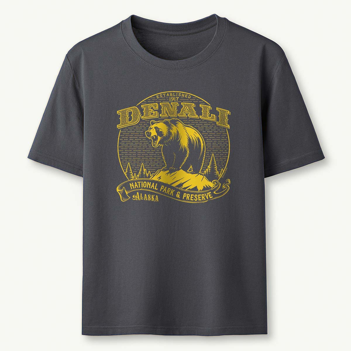 Denali National Park Vintage T-Shirt