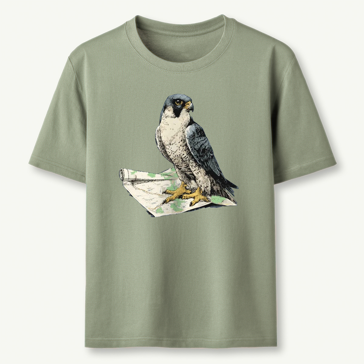 Peregrine Falcon Navigator T-Shirt