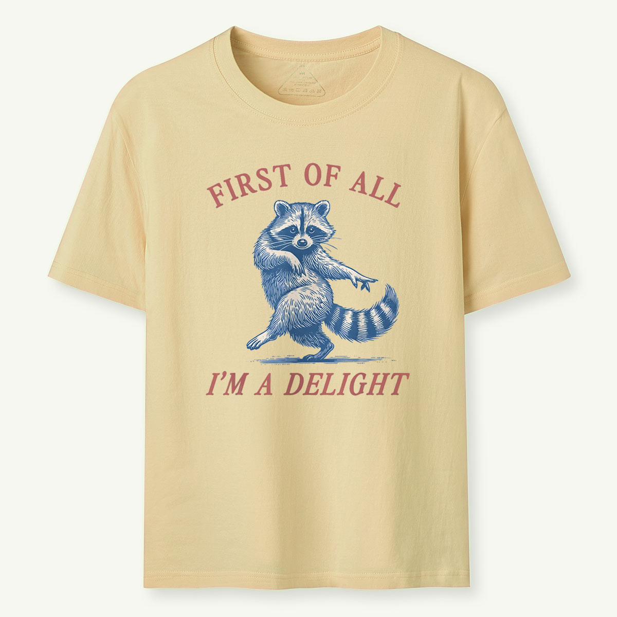 Raccoon First Of All Im A Delight T-Shirt