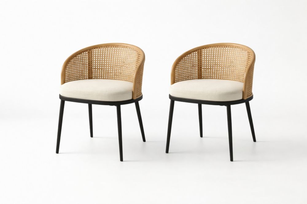 Set di 2 sedie in rattan e alluminio nero con cuscino bianco crema-housivora