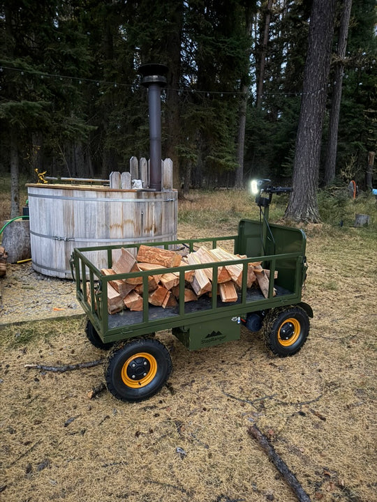 Four-wheel disc brake electric flatbed cargo transport trolley