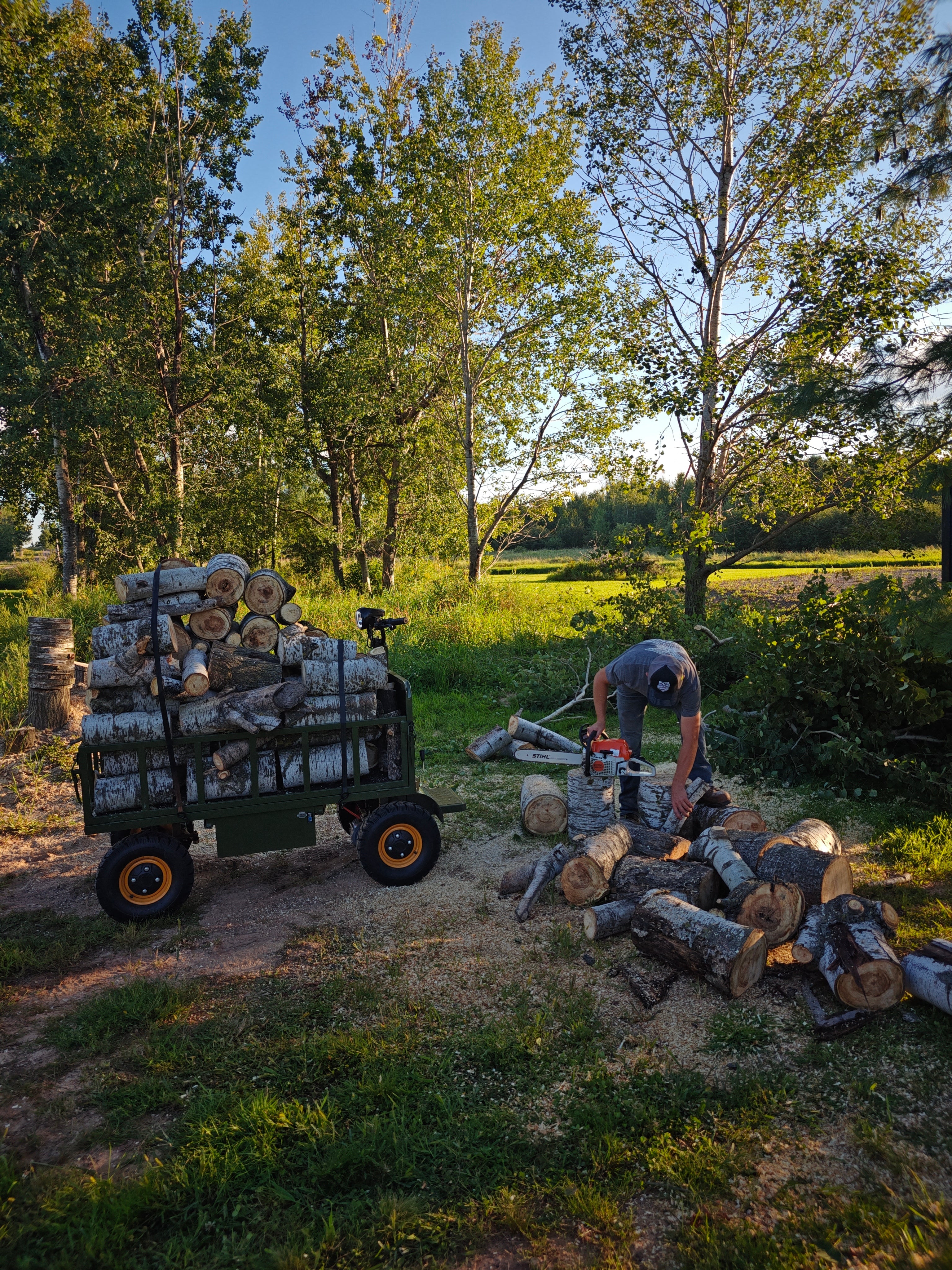 Four-wheel disc brake electric flatbed cargo transport trolley