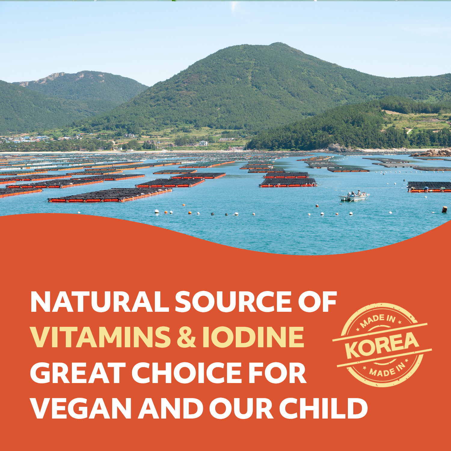 Kimchi Korean Seaweed Snack, Kimchi Spicy Flavor Gluten Free Vegan Snack 6 Convenient Packs (0.14oz Each)