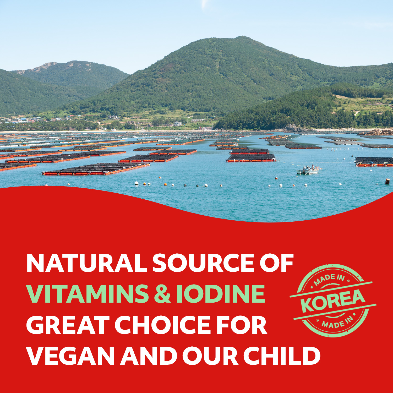 Roasted Seaweed Snack, Spicy Sriracha HOT Flavor 6 Convenient Packs (0.14oz Each)