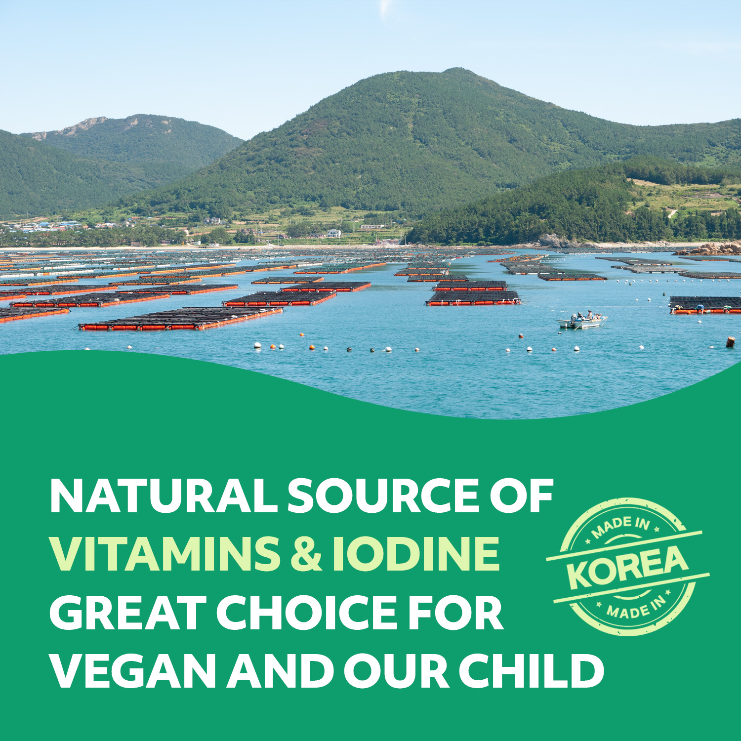 Roasted Seaweed Snack Wasabi Flavor 6 Convenient Packs (0.14oz Each)