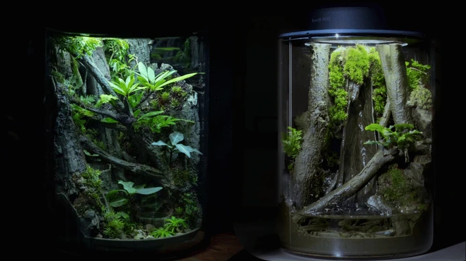 The 3D-Printed Ecosystem Jar