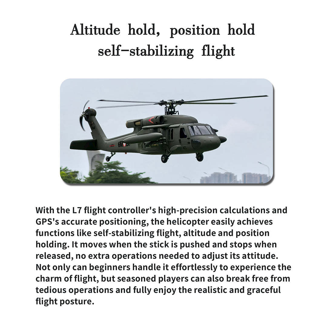 FLISHRC FL500 Black Hawk UH-60 500-Class 2.4GHz 6CH Scale RC 