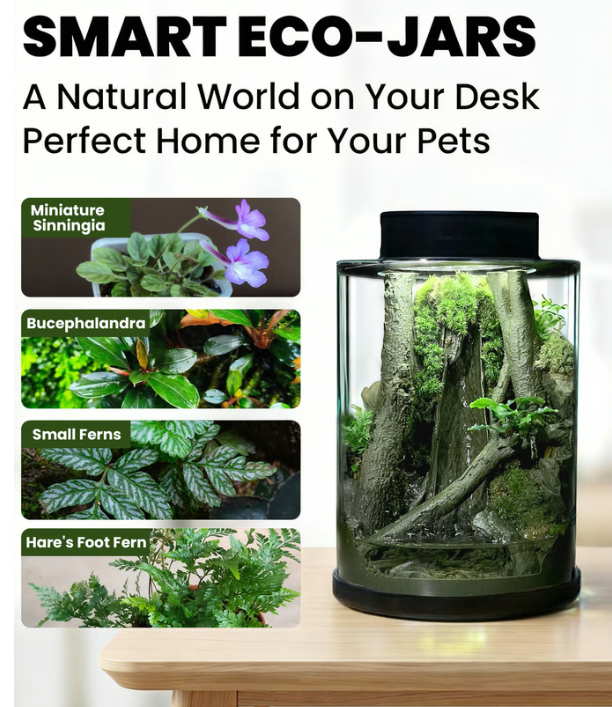 The 3D-Printed Ecosystem Jar