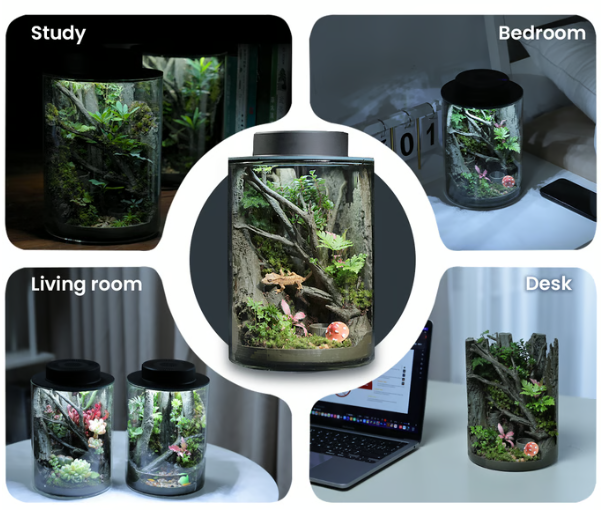The 3D-Printed Ecosystem Jar