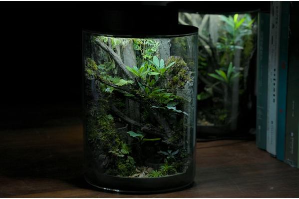 The 3D-Printed Ecosystem Jar