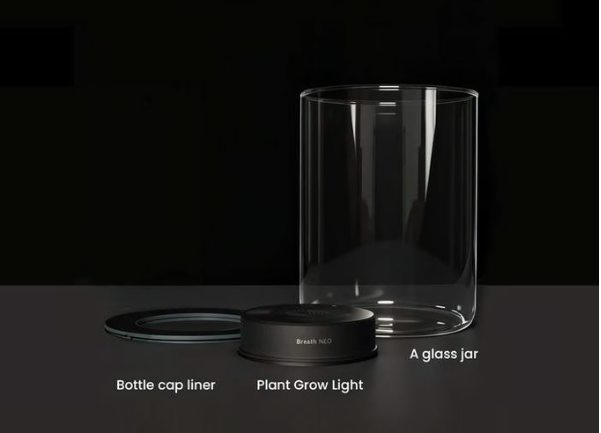 The 3D-Printed Ecosystem Jar