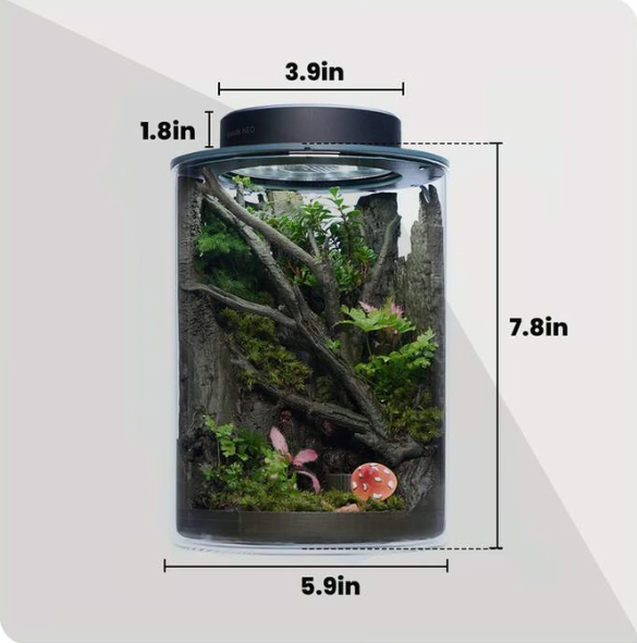 The 3D-Printed Ecosystem Jar