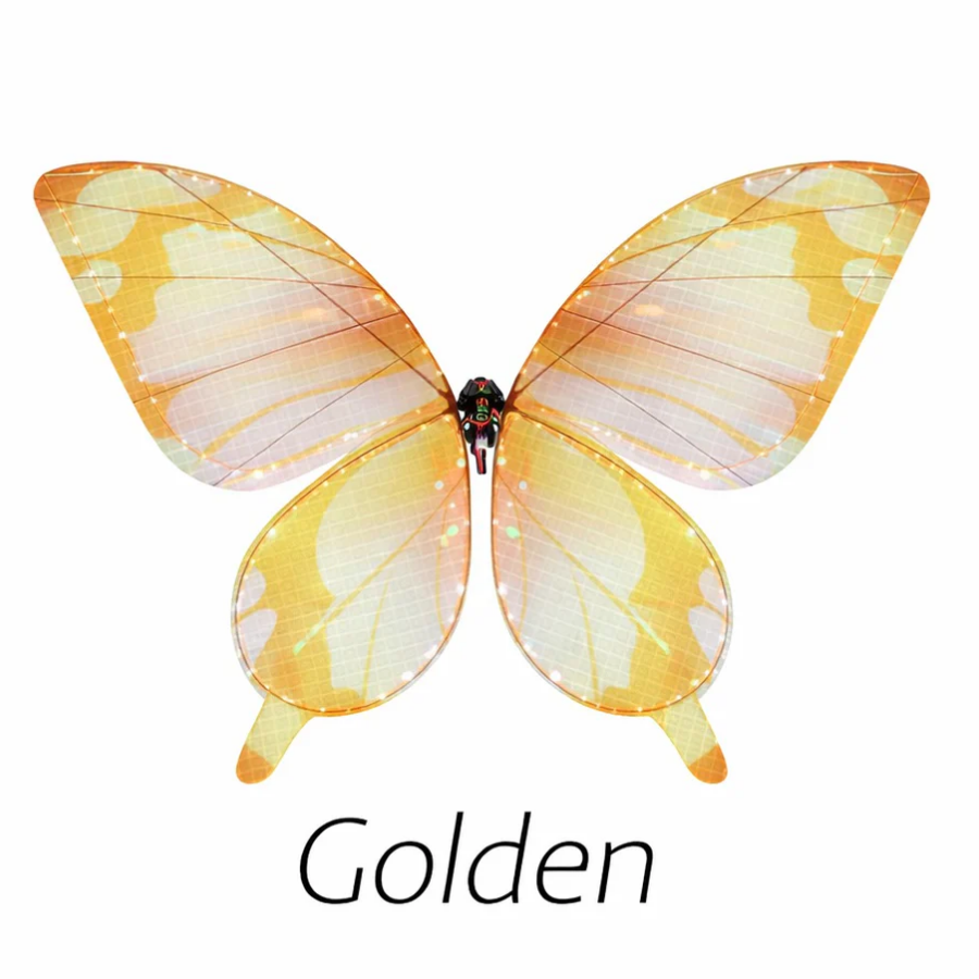 CXRC Bionic Butterfly Ornithopter RC Flapping Wing Aircraft 