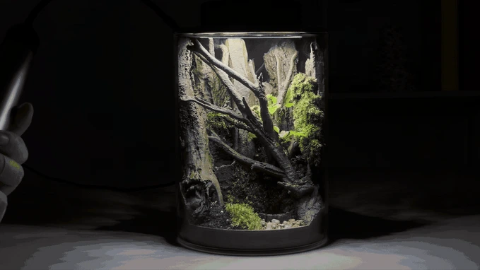 The 3D-Printed Ecosystem Jar