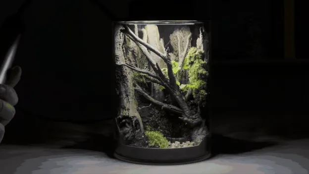 The 3D-Printed Ecosystem Jar