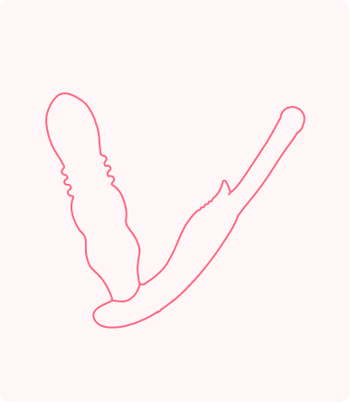 Anal Play