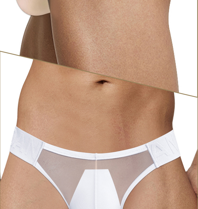 Hot Men's Briefs, Low Waist Chinese Style See-Through Underwear AD780
