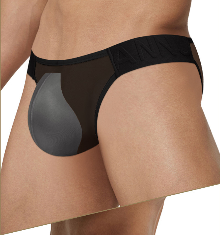 Hot Men's Briefs, Low Waist Chinese Style See-Through Underwear AD780