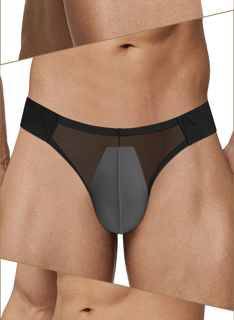 Hot Men's Briefs, Low Waist Chinese Style See-Through Underwear AD780