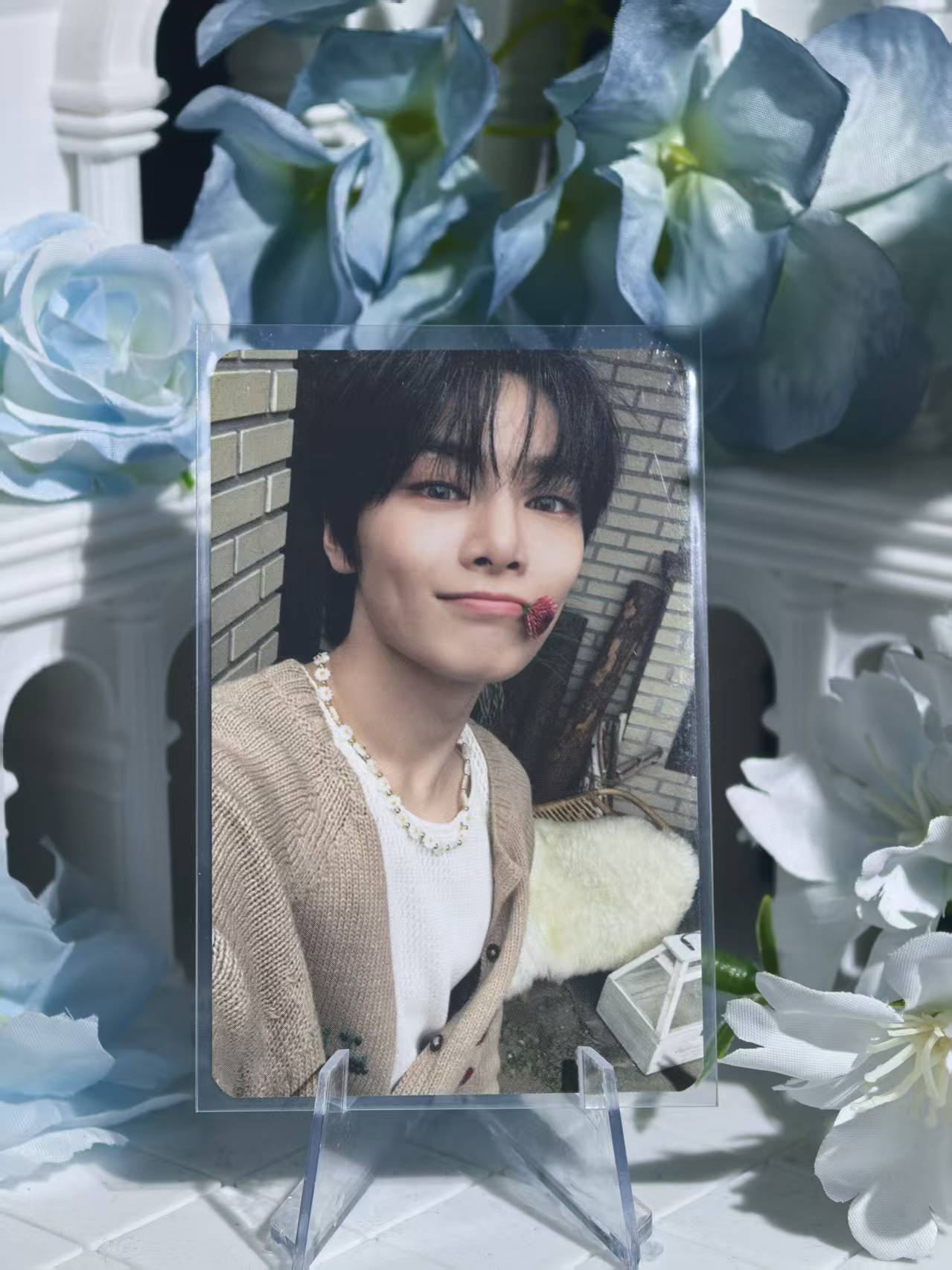 Straykids - I.N Official Poca