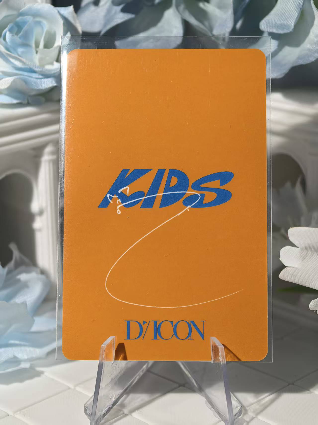 Straykids - I.N Official Poca