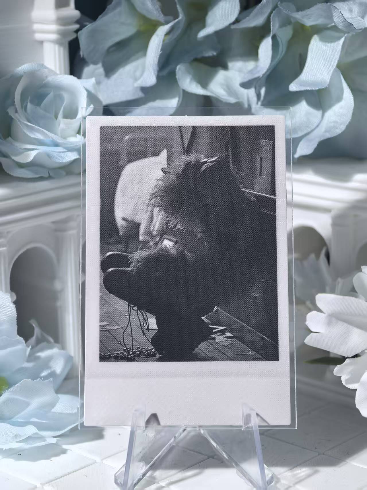 BLACKPINK - Rosé Official Poca