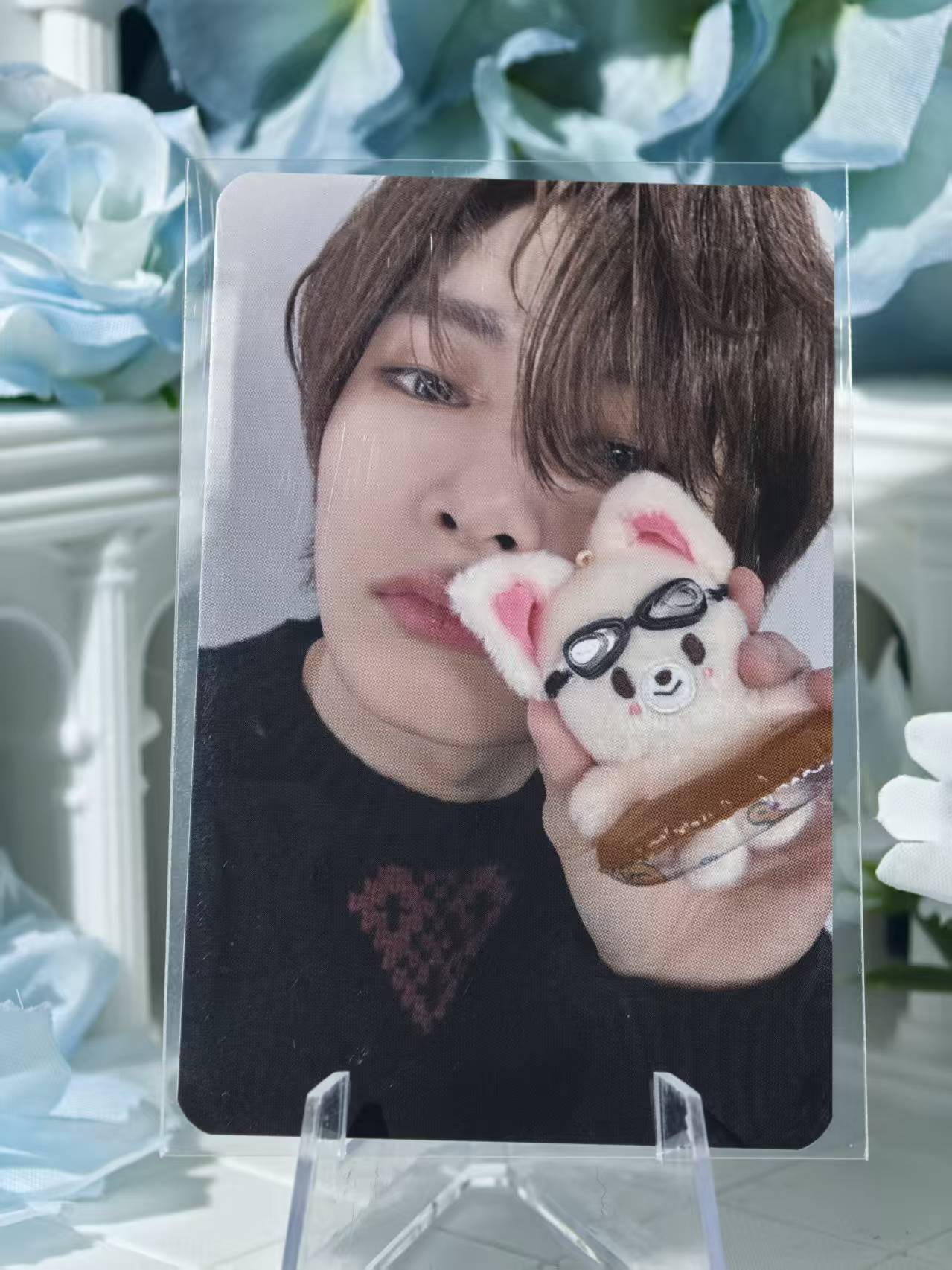 Straykids - I.N Official Poca