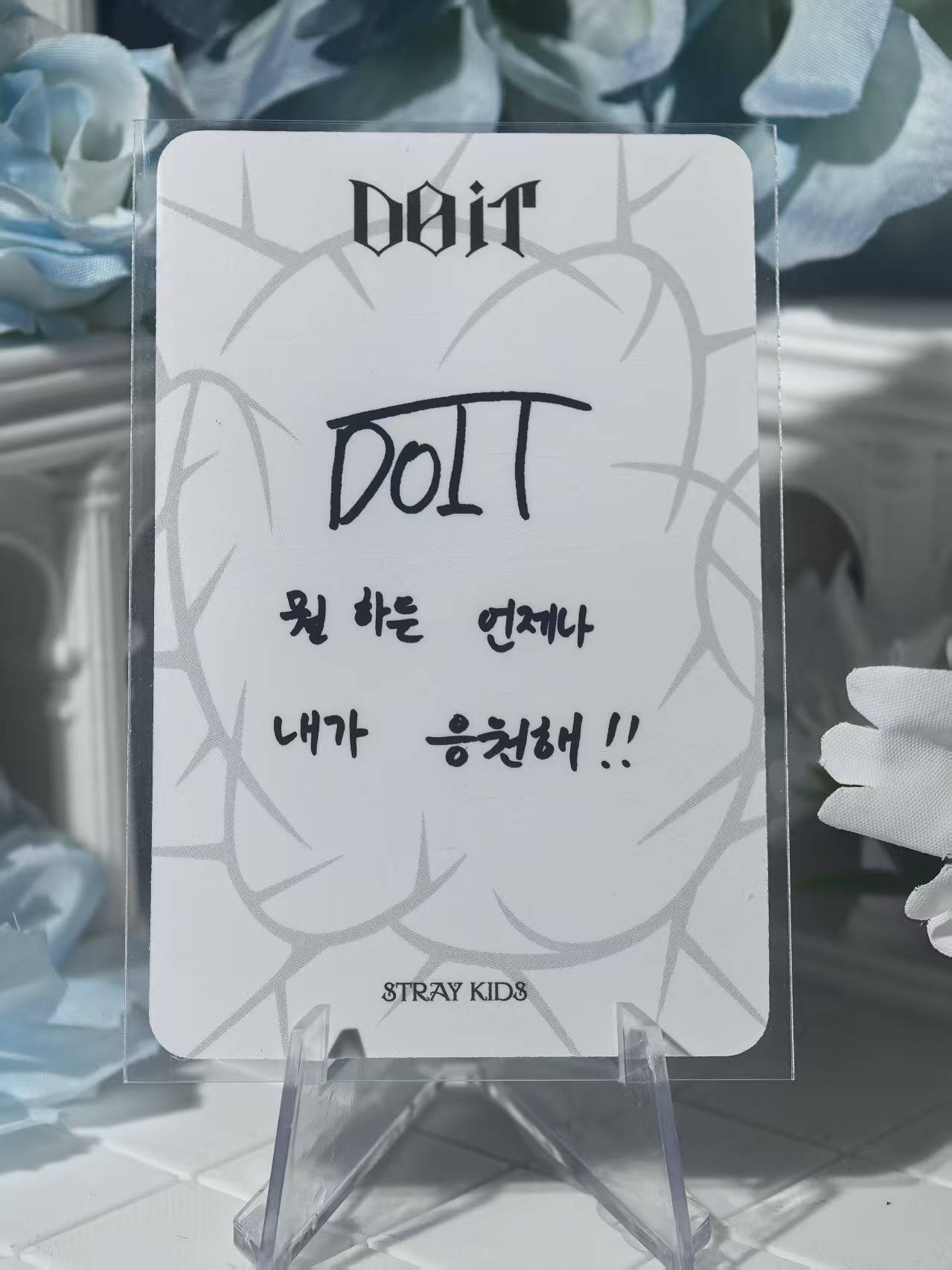 Straykids - I.N Official Poca