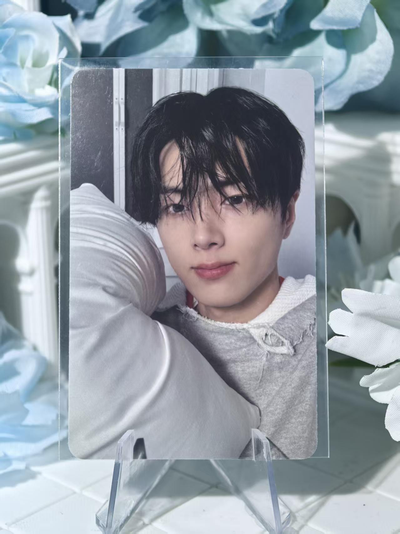 ENHYPEN - Jay Official Poca