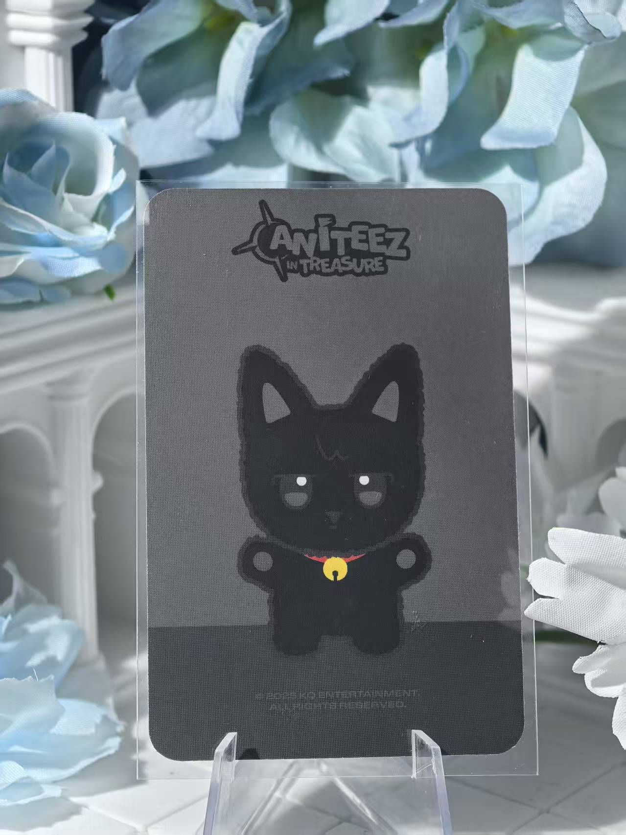 ATEEZ - Wooyoung Official Poca