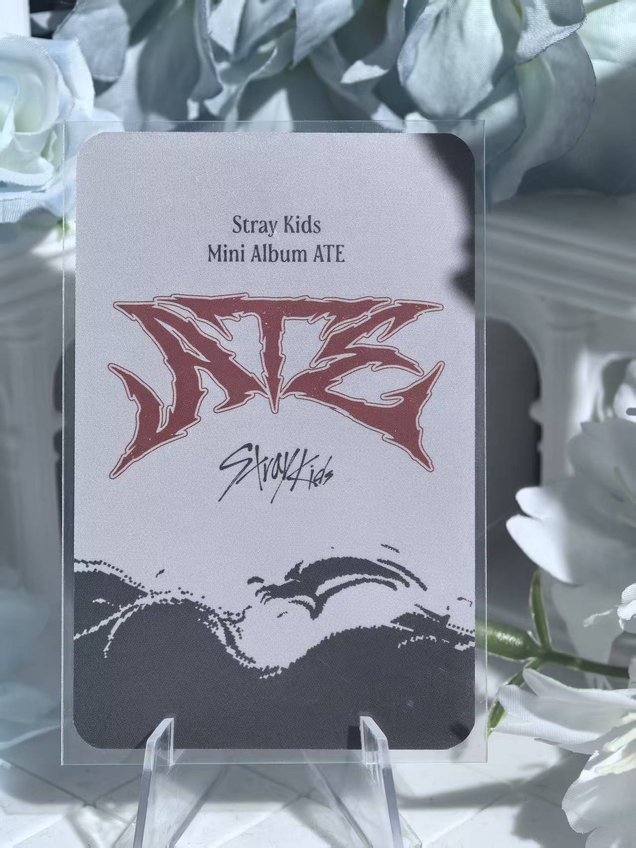 Straykids - Changbin Official Poca