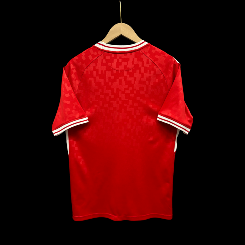 MAILLOT DANEMARK DOMICILE COUPE DU MONDE 2026