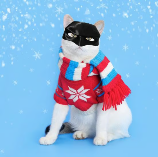 🎁SELLING FAST! 🔥 70K+ SOLD -🎭🐱 Black Bat Cat Mask