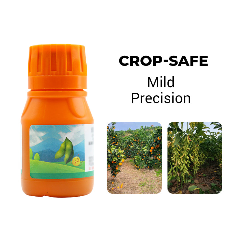 🔥Powerful Concentrated Herbicide🔥