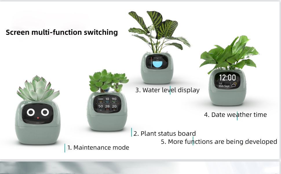 Products Introduction