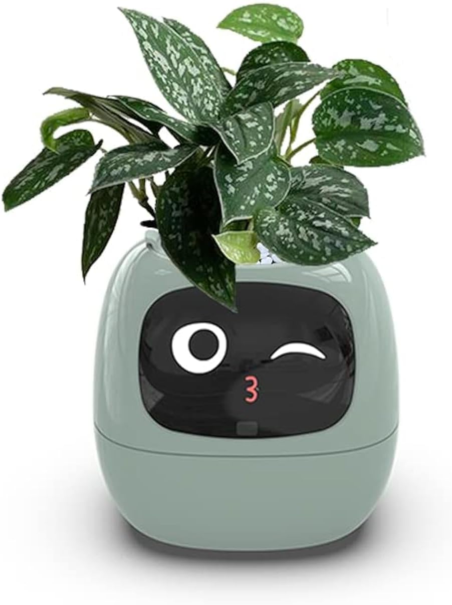 Plant pet robot smart flower pot
